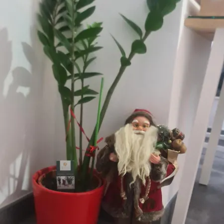 Zlatovo Stan Na Dan Požarevac